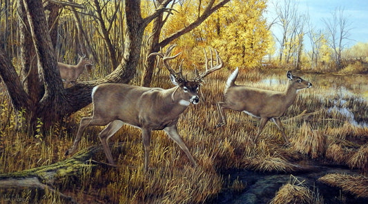 Ron Van Gilder Old Mossy Horns