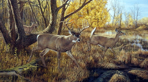 Ron Van Gilder Old Mossy Horns