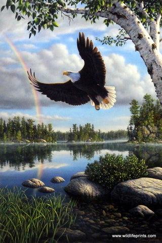 Kim Norlien On Eagle's Wings