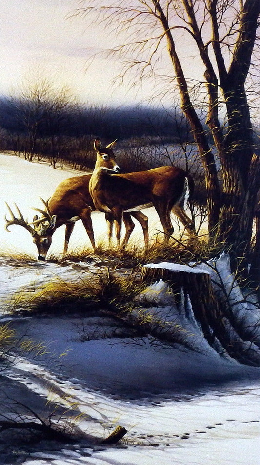 Terry Redlin On The Alert