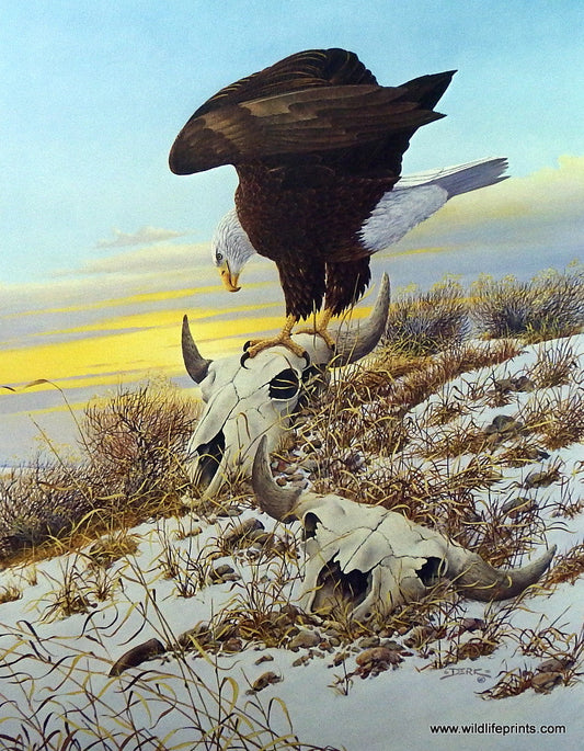Derk Hansen On The Edge Of The Past