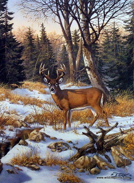 Derk Hansen On The Edge Of The Woods