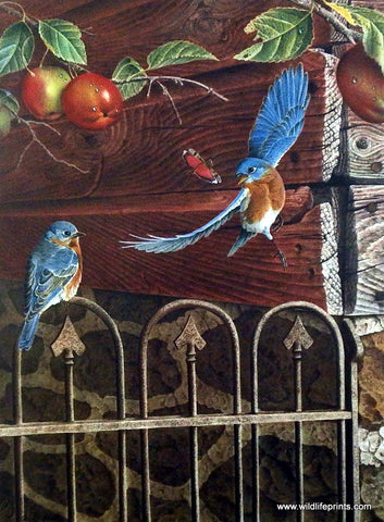 Jerry Gadamus Orchard Blue