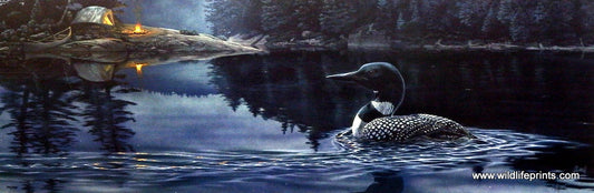 Al Agnew Loon on Lake Art Print OUTSIDE OF TIME