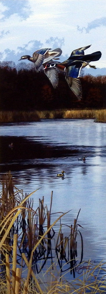 Scot Storm Over the Decoys
