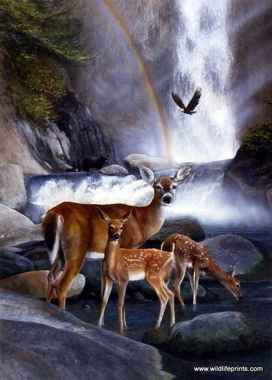 Kevin Daniel Over the Rainbow