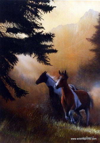Kevin Daniel Paint Runners