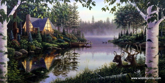 Mark Daehlin Paradise Bay
