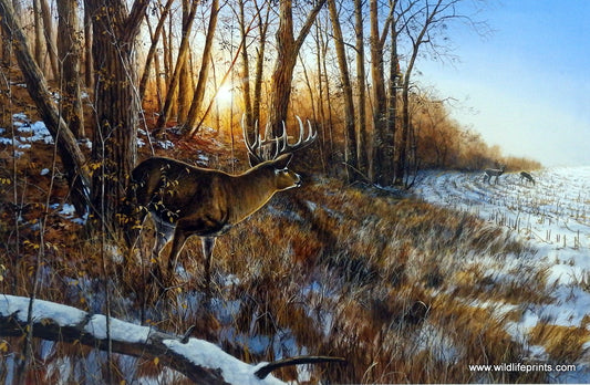 Jim Hansel Passing The Buck