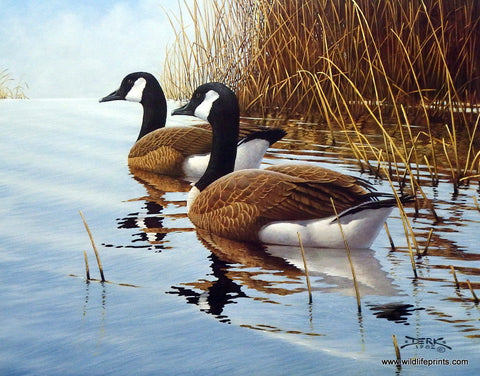 Art print of Canadian Geese