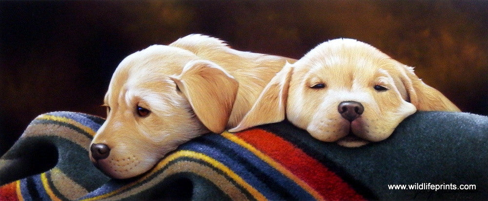 Jerry Gadamus Pendleton Yellow Pups