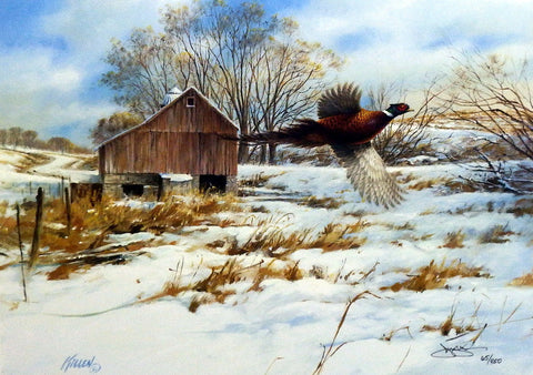 James Killen Pheasant Country