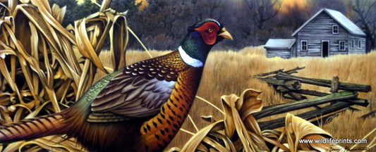 Jerry Gadamus Pheasant Feast