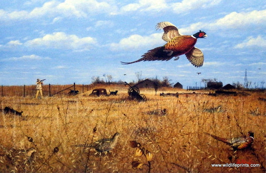 Les Kouba Pheasant Paradise