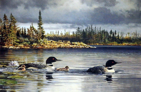 Scott Zoellick Picnic Point