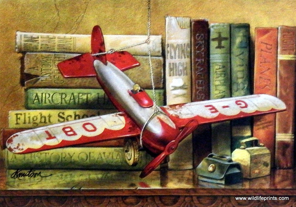 Doug Knutson Planes