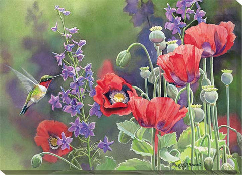 Susan Bourdet Poppies and Hummingbird