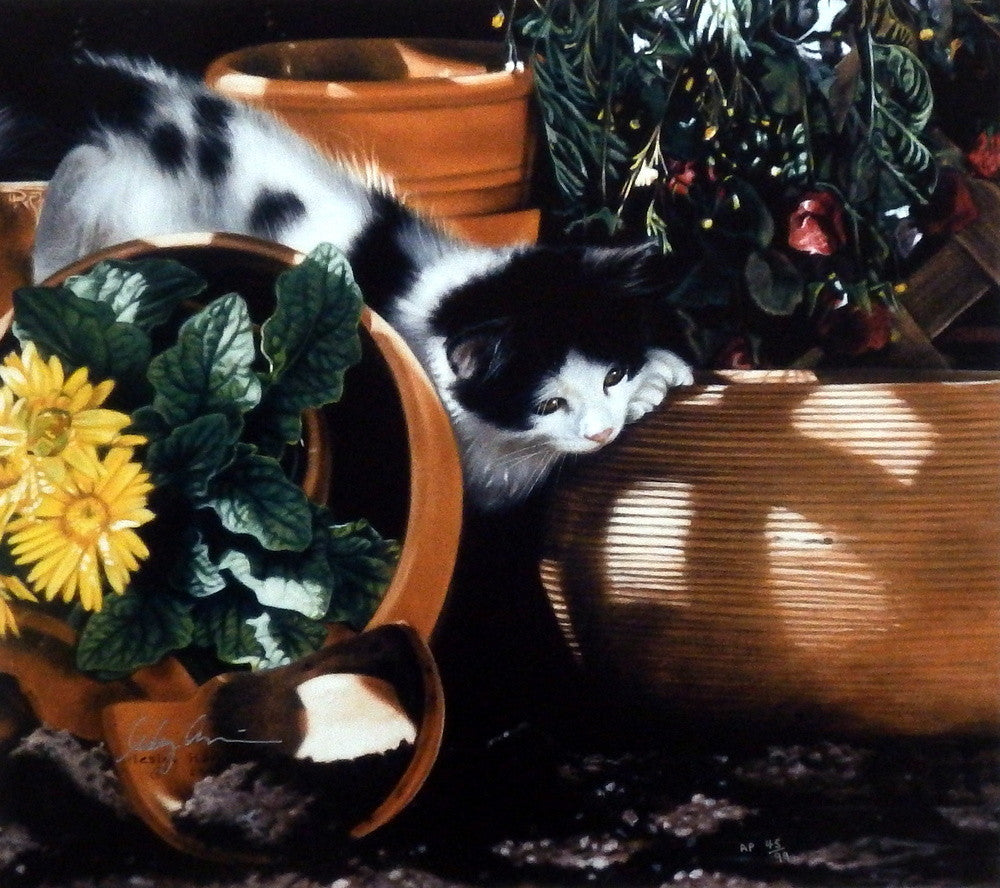 Lesley Harrison Potting Shed Play