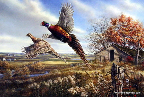 James Meger Prairie Dancehall
