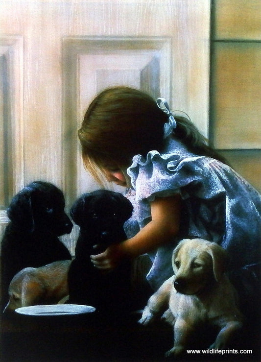 Kevin Daniel Puppy Love