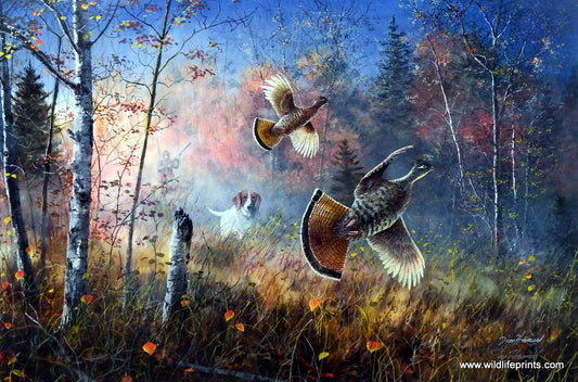 Jim Hansel Quick Escape