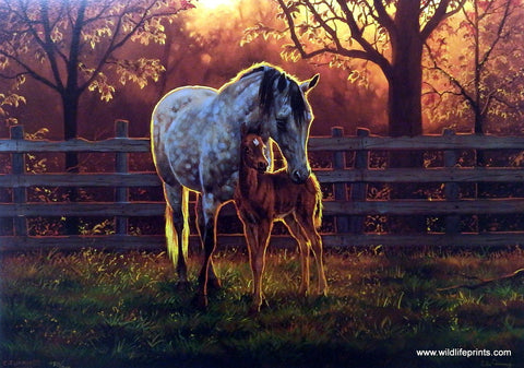 Chris Cumming Horse Picture Mare and Foal Colt