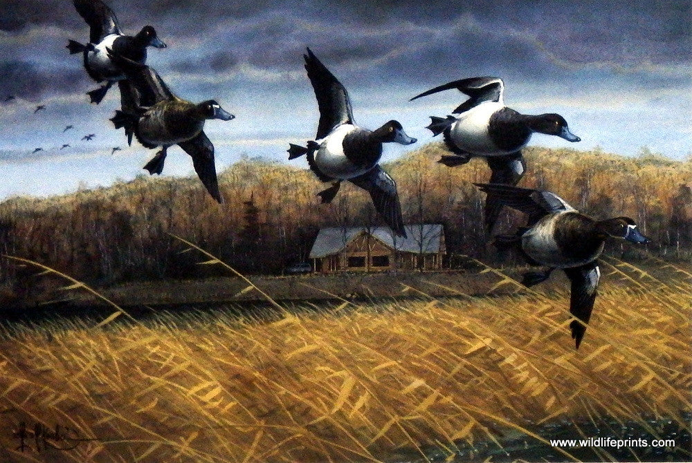 Les Kouba Rainy River Bills
