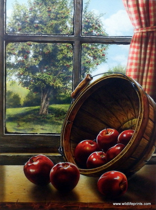 Doug Knutson Red Delicious
