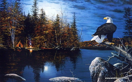 Jim Hansel Reflections