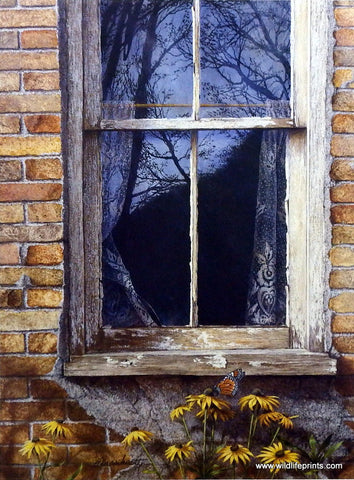 Richard Plasschaert Reflections