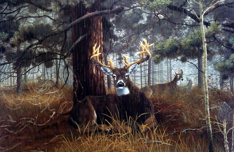 Scott Kennedy Reign Of The Pines