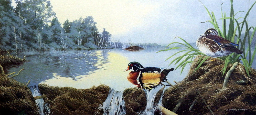 Robert Schmidt Restful Retreat