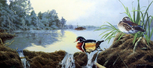 Robert Schmidt Restful Retreat