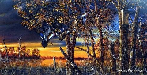 Jim Hansel Return To The Refuge