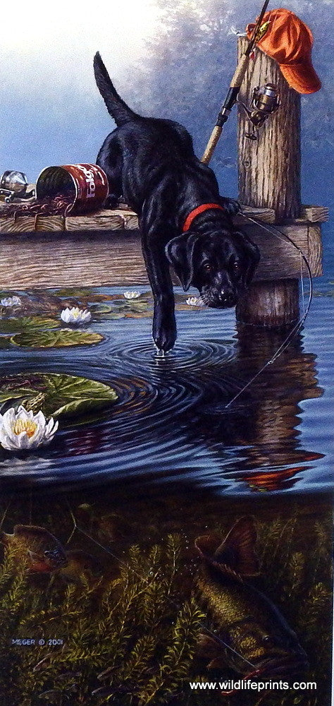 James Meger Ripples