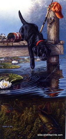 James Meger Ripples