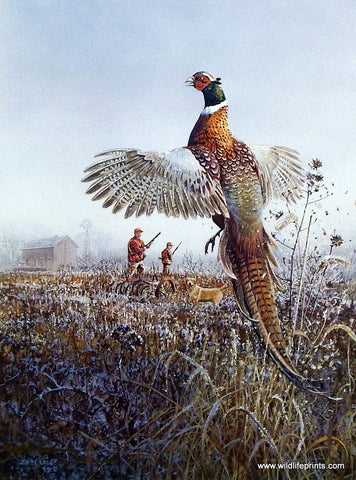 Scott Zoellick Rise and Shine