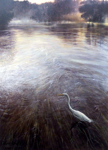 Matthew Hillier River Of Grass