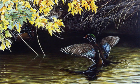 Ron Van Gilder Riverside Woodies