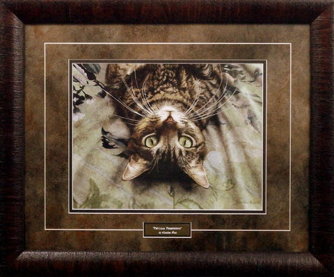 Sueellen Ross Peculiar Perspective Cat Print Framed