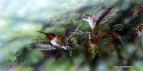 Gamini Ratnavira Ruby Throated Hummingbird