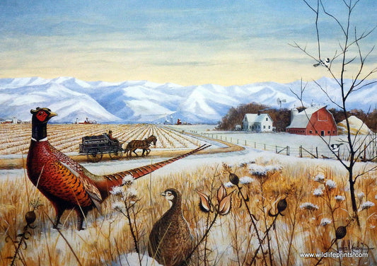 Les Kouba Rural Delivery