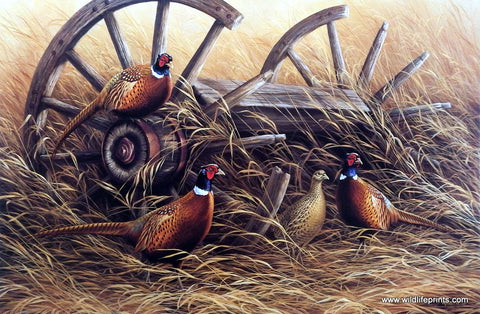 Rosemary Millette Rustic Retreat- Pheasants