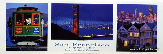 Gerald Brimacombe San Francisco