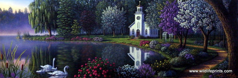 Kim Norlien Sanctuary