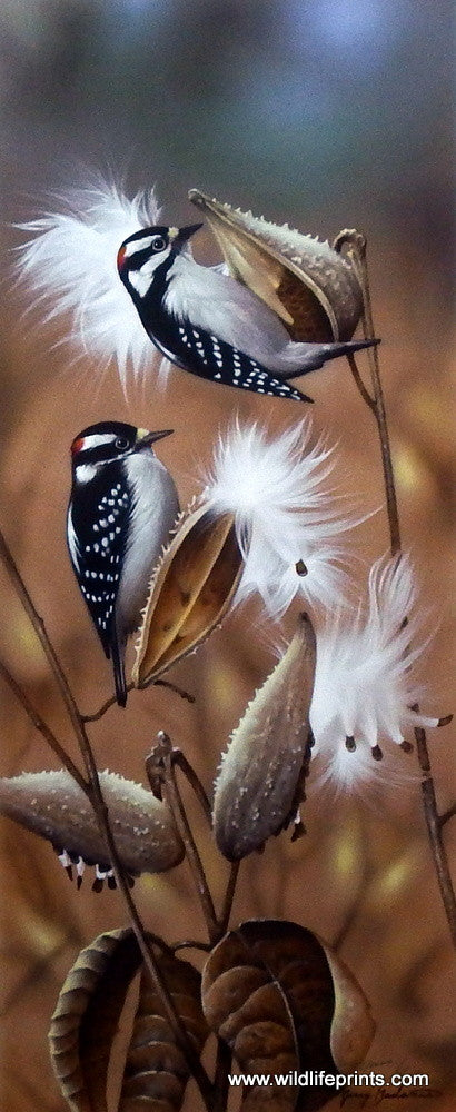 Jerry Gadamus Seeds are Sown
