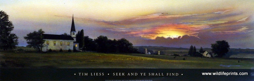 Tim Liess See and Ye Shall Find