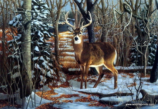 Patrick Gibbs Sentry