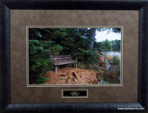25"x19" Framed