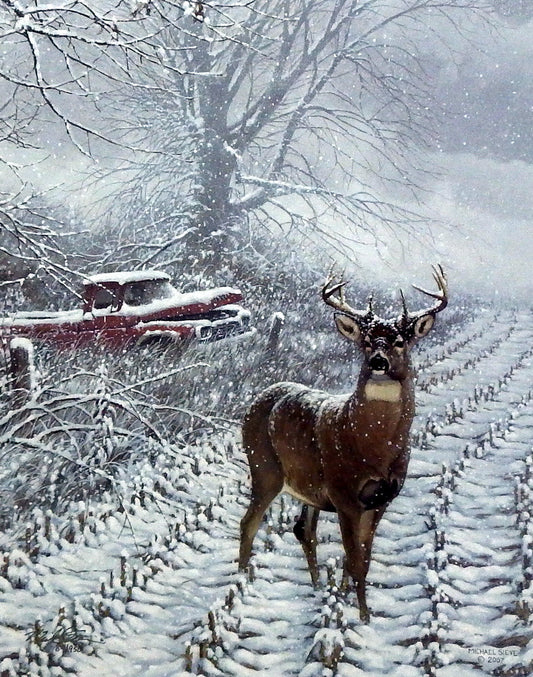 Michael Sieve Shades of White